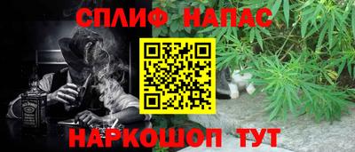 ГАЛЛЮЦИНОГЕННЫЕ ГРИБЫ Гусев