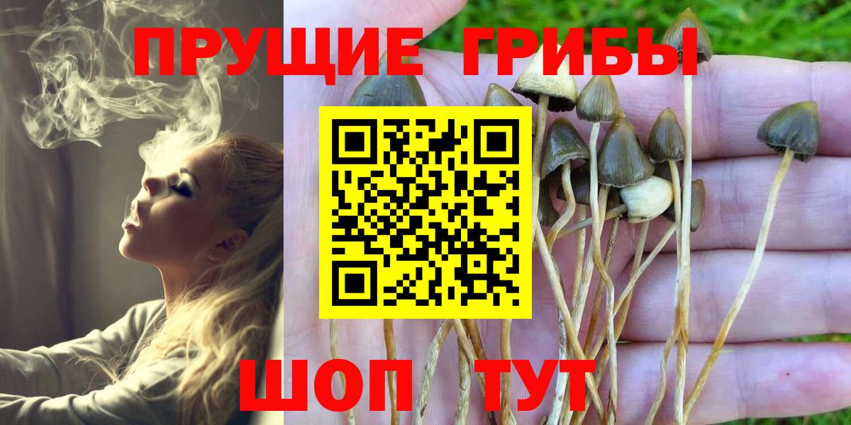 ЭКСТАЗИ  Кокаин  МАРИХУАНА  Вход с VPN  ГАШИШ  Михайловка  Меф кристаллы 