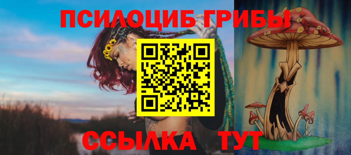 Галлюциногенные грибы Psilocybe  Вход с VPN  Михайловка 